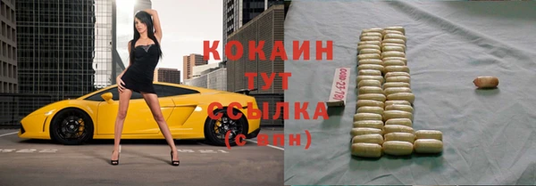 гашик Белоозёрский