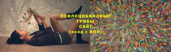 гашик Белоозёрский