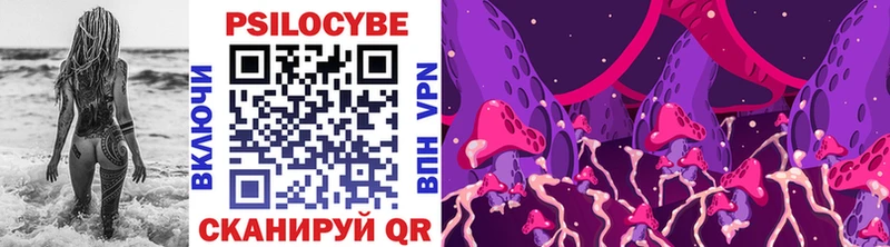 Псилоцибиновые грибы MAGIC MUSHROOMS  сайты даркнета клад  Шенкурск 